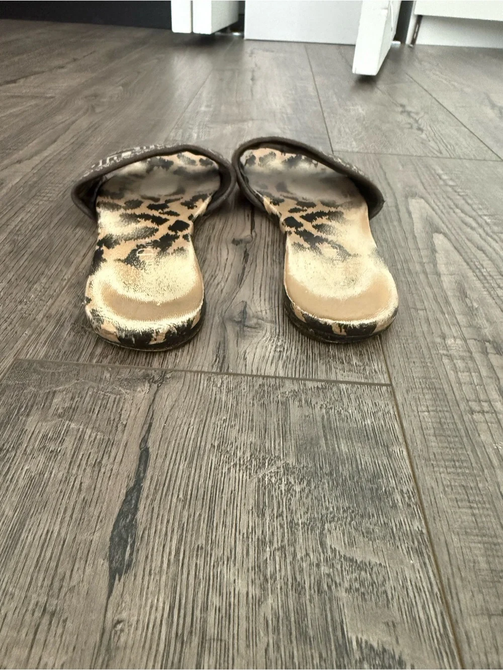 Dior Beige and Dark Brown Leopard Slide Sandals